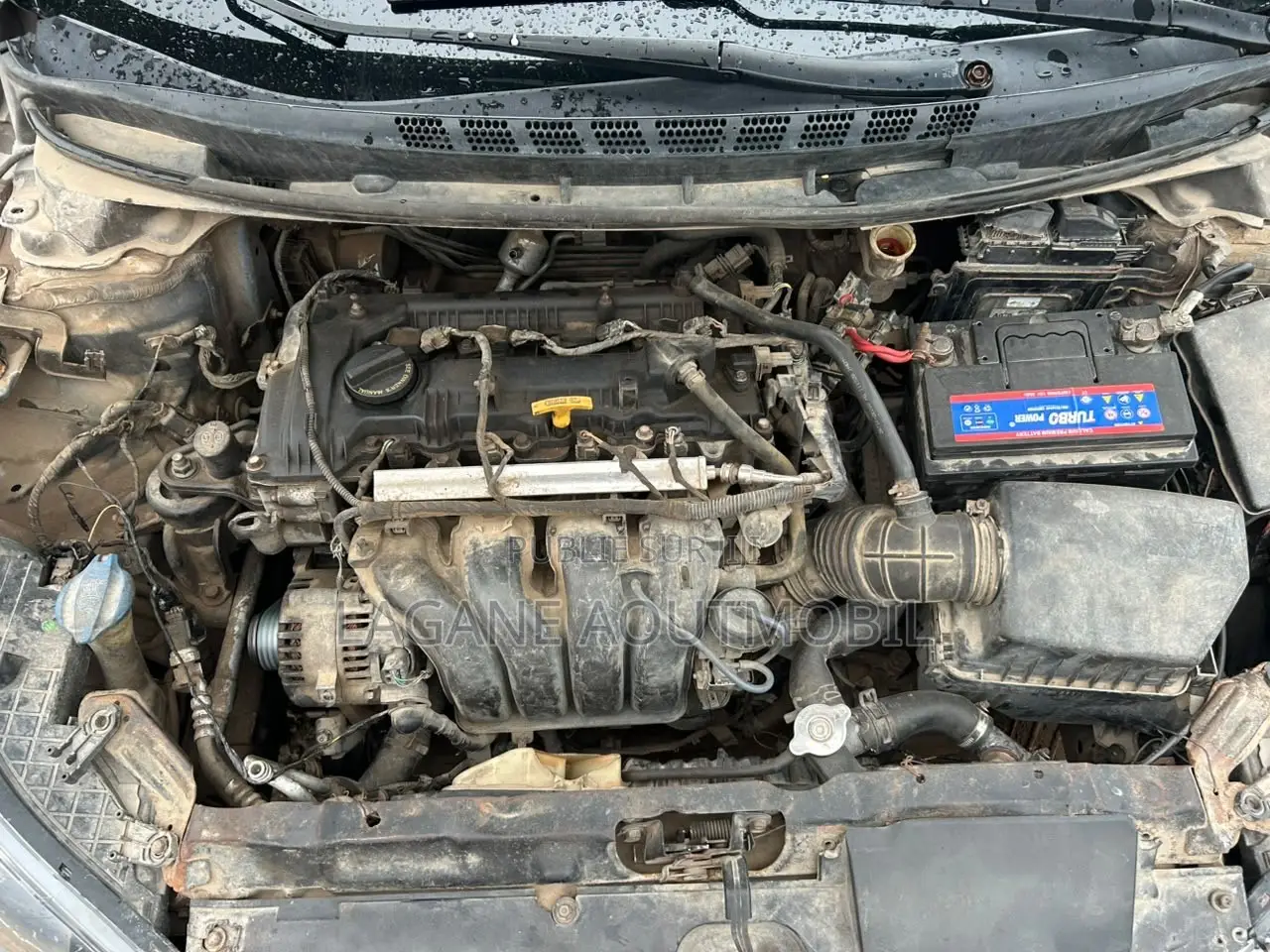 Hyundai Elantra GLS Sedan FWD (1.8L 4cyl 6M) 2013 Gris