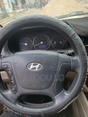 Hyundai Santa Fe 2009 Beige