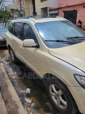 Hyundai Santa Fe 2009 Beige