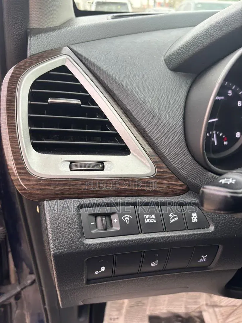 Hyundai Santa Fe 2017 Bleu