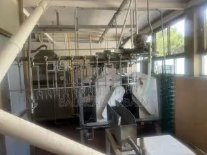 Deplumeuse Industrielle De Marque Patrini