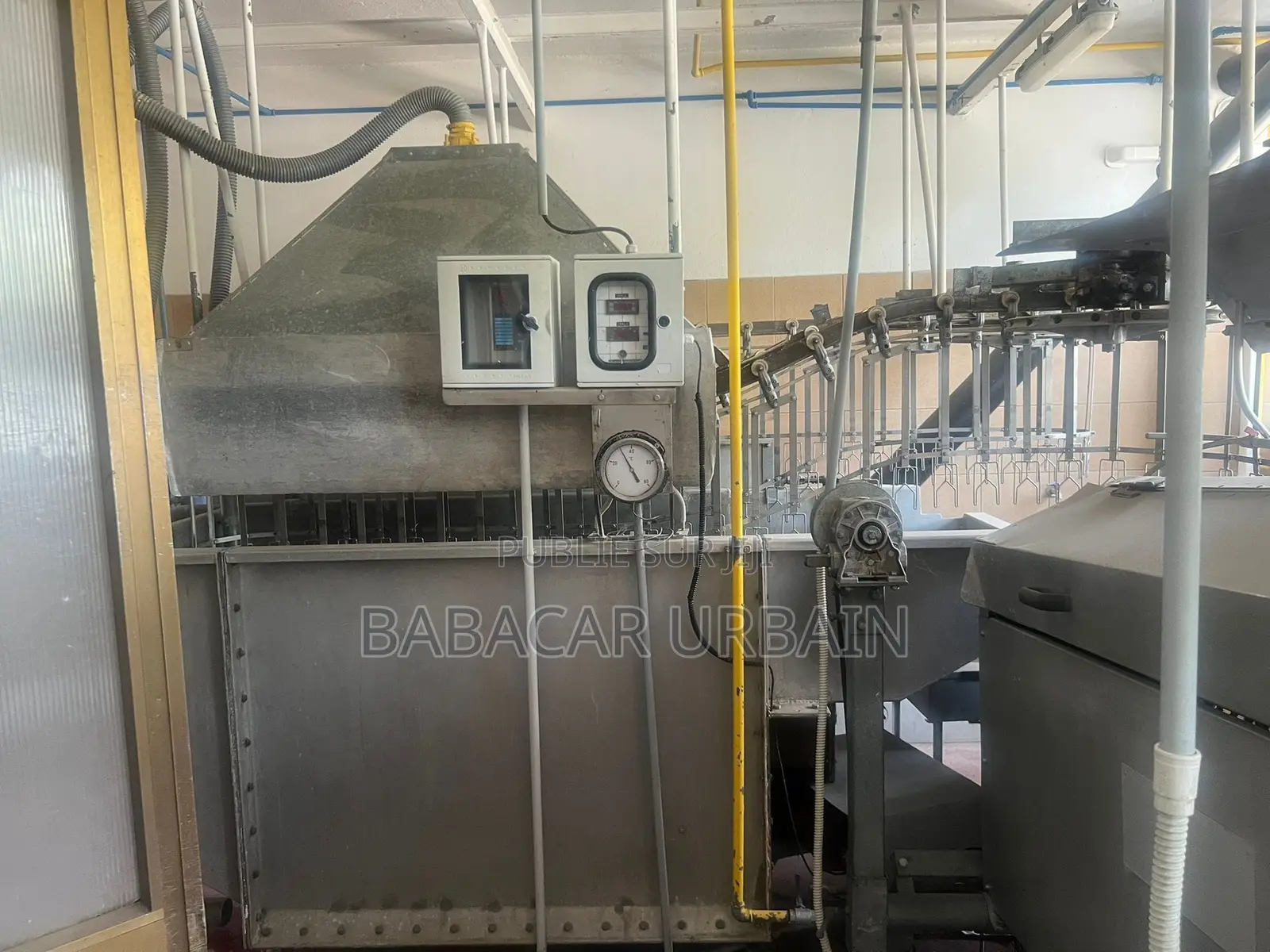 Deplumeuse Industrielle De Marque Patrini