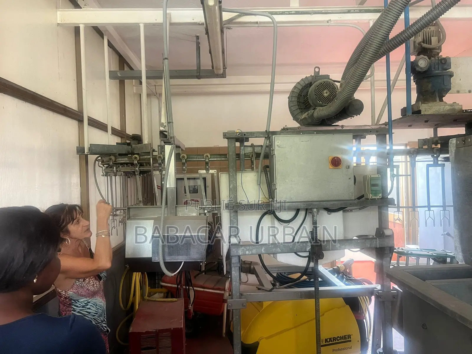 Deplumeuse Industrielle De Marque Patrini