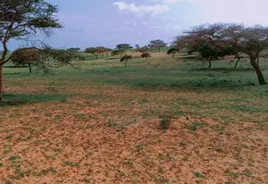 15.3 Hectares À 1,3 Km De La Route Entre Lompoul - St Louis