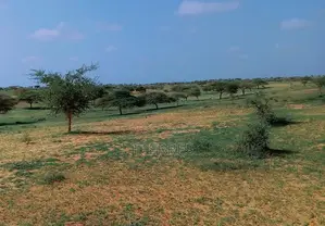 15.3 Hectares À 1,3 Km De La Route Entre Lompoul - St Louis