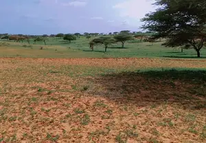 15.3 Hectares À 1,3 Km De La Route Entre Lompoul - St Louis