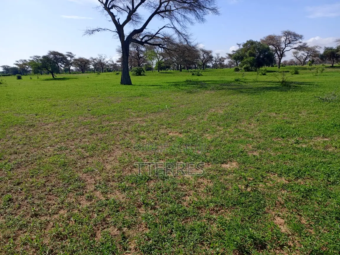 Terrain Industriel De 1,19 Hectare Vers Ngoudiane - Thiès