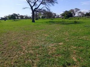 Terrain Industriel De 1,19 Hectare Vers Ngoudiane - Thiès
