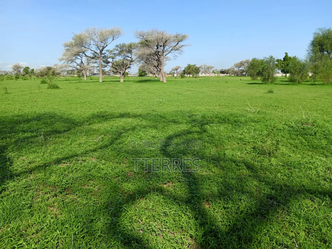 Terrain Industriel De 1,19 Hectare Vers Ngoudiane - Thiès