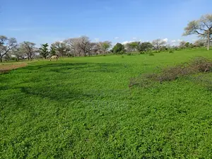 Terrain Industriel De 1,19 Hectare Vers Ngoudiane - Thiès