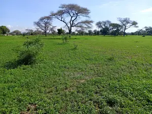 Terrain Industriel De 1,19 Hectare Vers Ngoudiane - Thiès