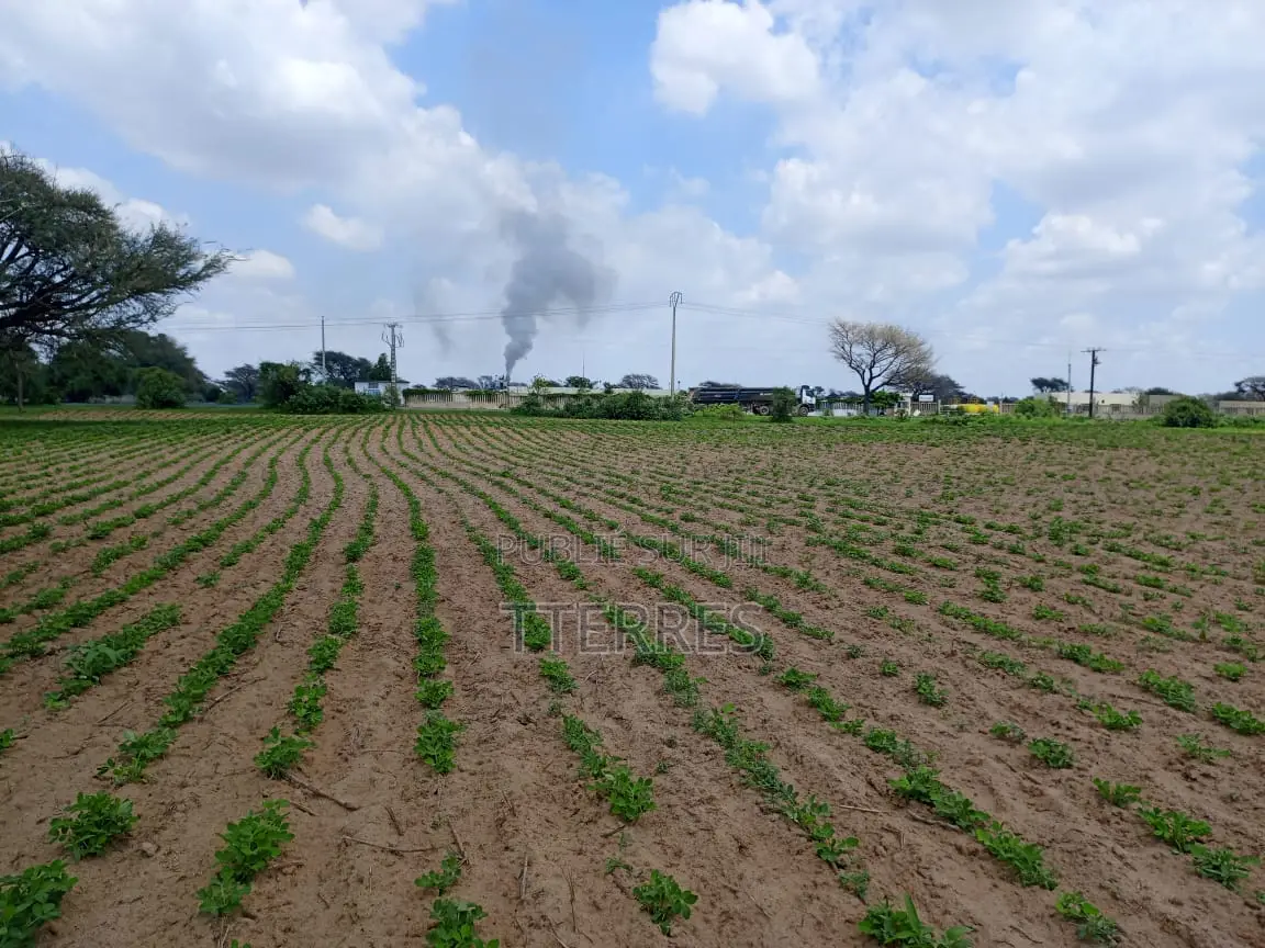 1,99 Hectare en Bordure De Route À Nguoundiane – Thiès