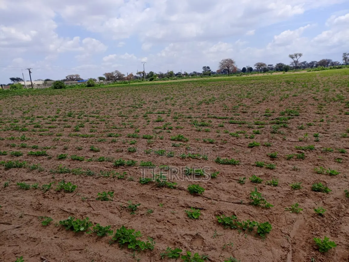 1,99 Hectare en Bordure De Route À Nguoundiane – Thiès