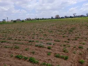 1,99 Hectare en Bordure De Route À Nguoundiane – Thiès