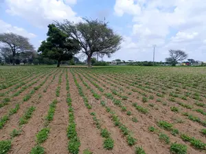1,99 Hectare en Bordure De Route À Nguoundiane – Thiès