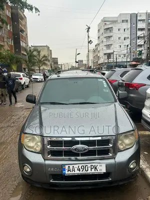 Ford Escape Limited 2012 Gris