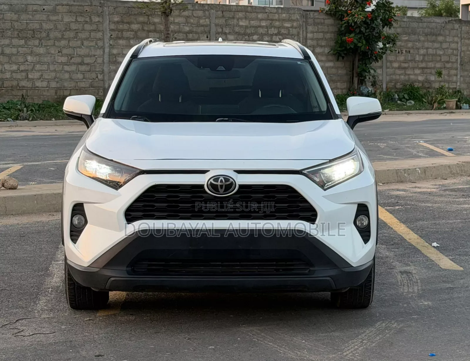 Toyota RAV4 2019 Blanc