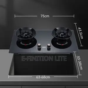 Promotion Plaque De Cuisson 2 Feux