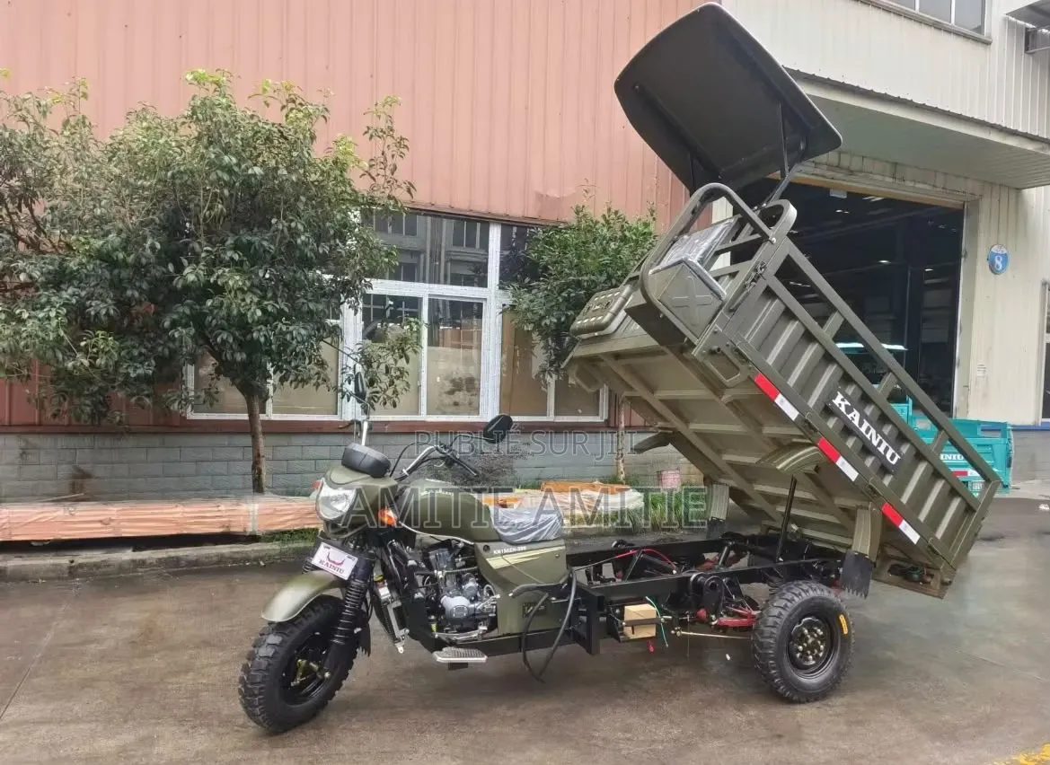 Nouveau Tricycle Autre 2026 Vert