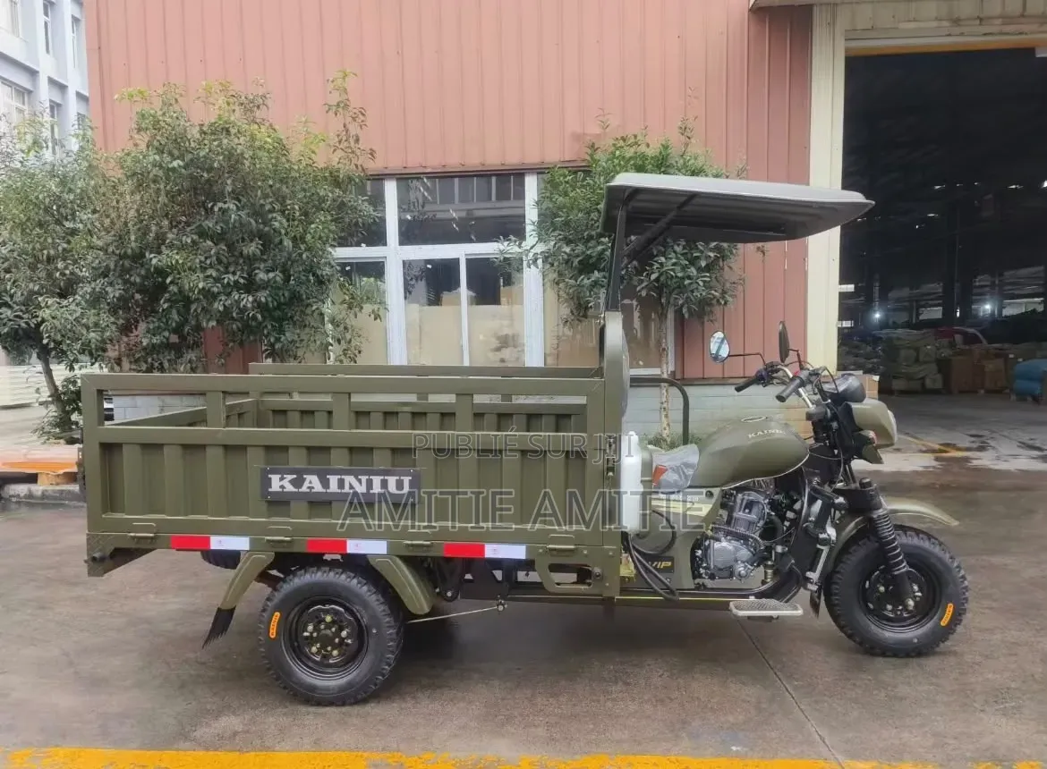 Nouveau Tricycle Autre 2026 Vert