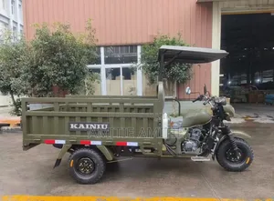 Nouveau Tricycle Autre 2026 Vert