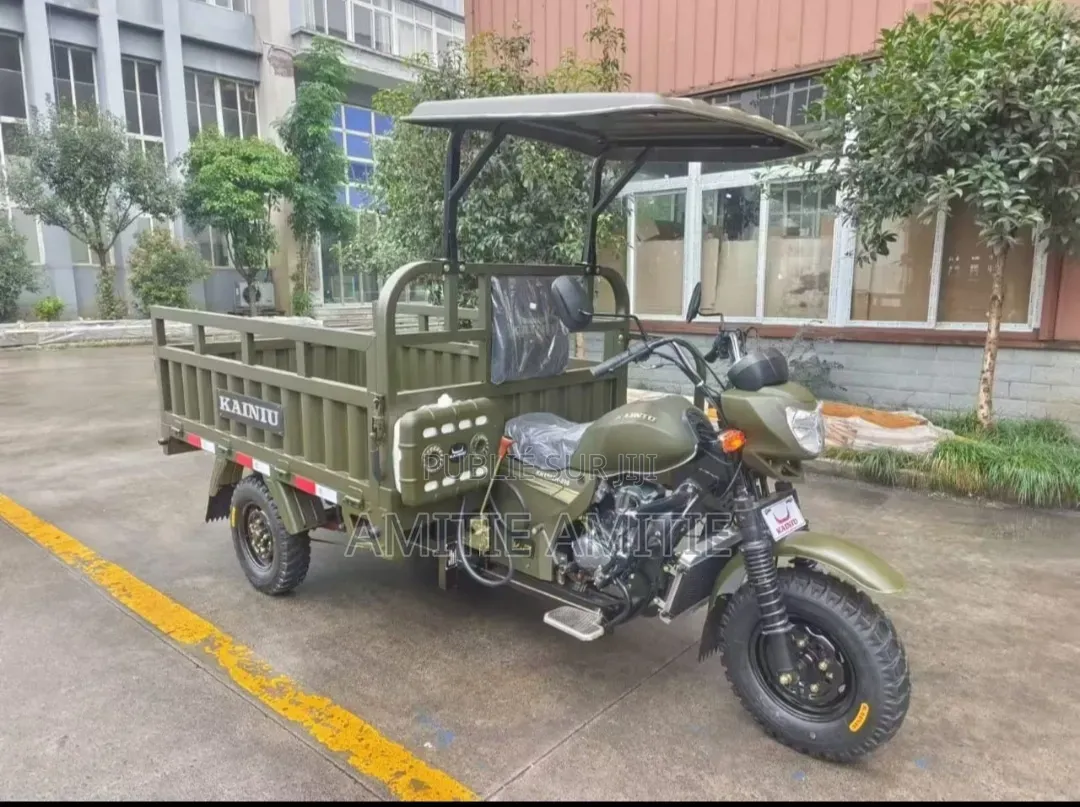 Nouveau Tricycle Autre 2026 Vert