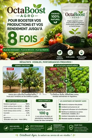 Engrais Organique De Qualité Premium
