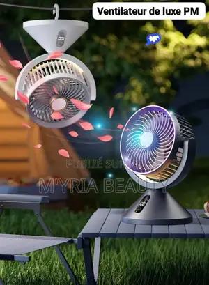 Ventilateur De Luce Pm