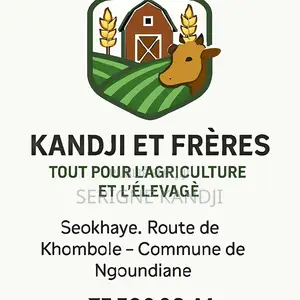 1600 M2 a Vendre - Thienaba