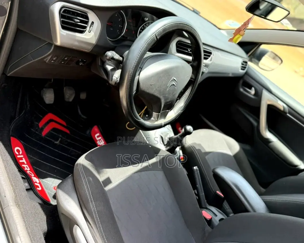 Citroen C-Elysee 2017 Gris