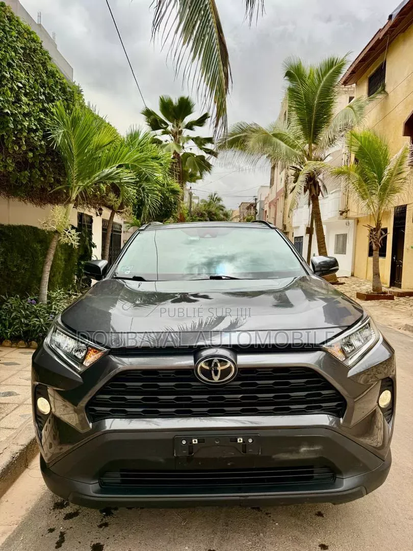 Toyota RAV4 2021 Gris