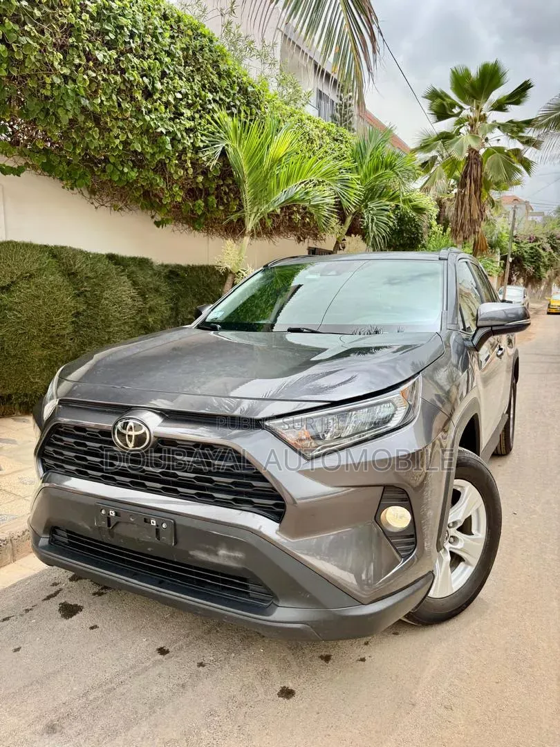 Toyota RAV4 2021 Gris