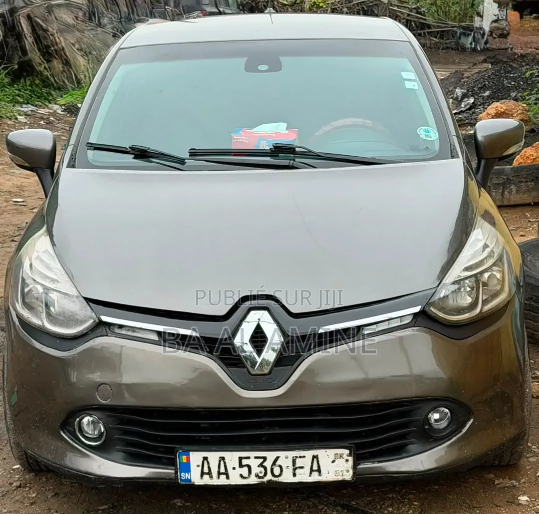 Renault Clio 2014 Gris
