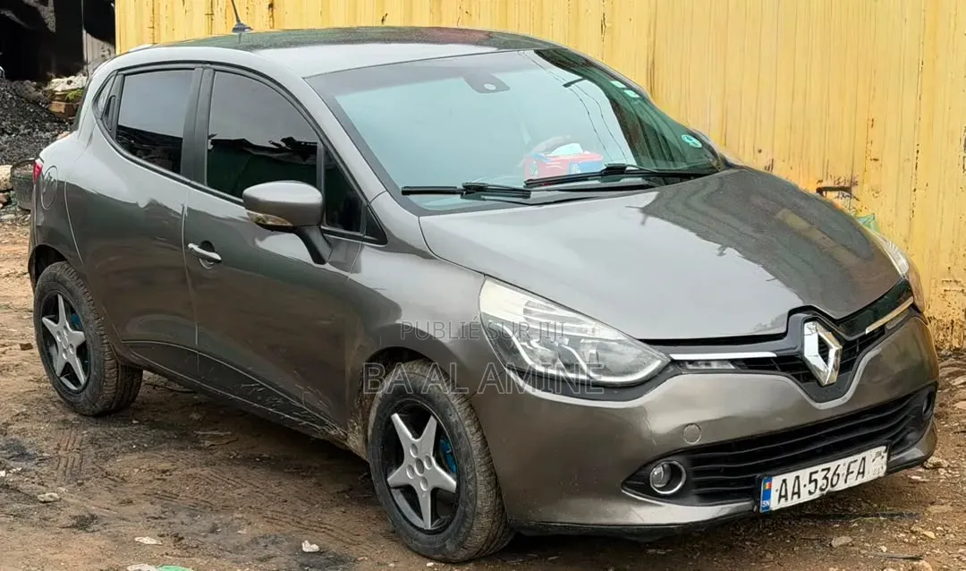 Renault Clio 2014 Gris