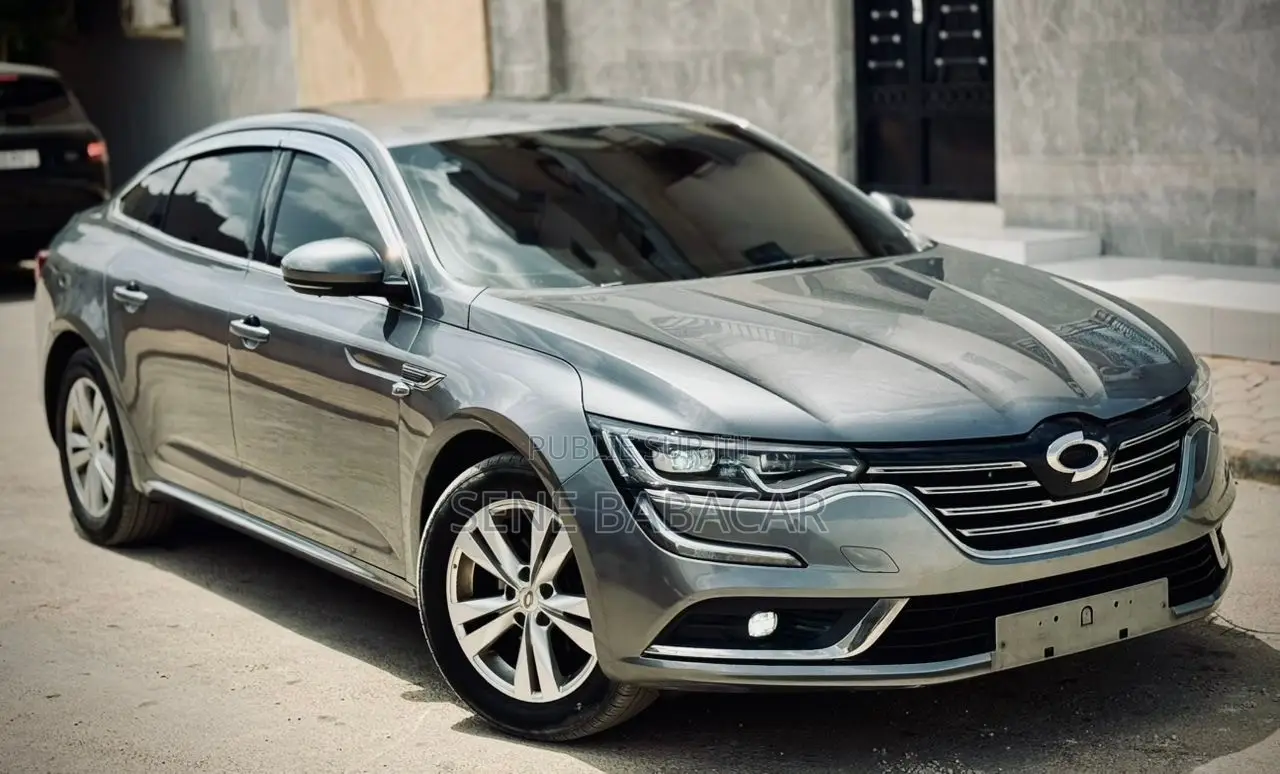 Renault 6 2018 Gris