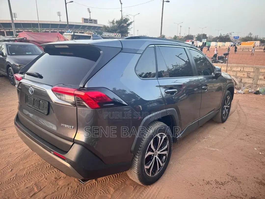 Toyota RAV4 LE AWD 2023 Gris