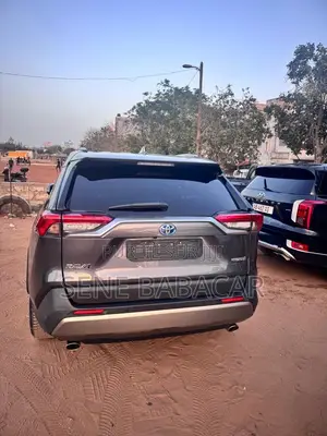 Toyota RAV4 LE AWD 2023 Gris