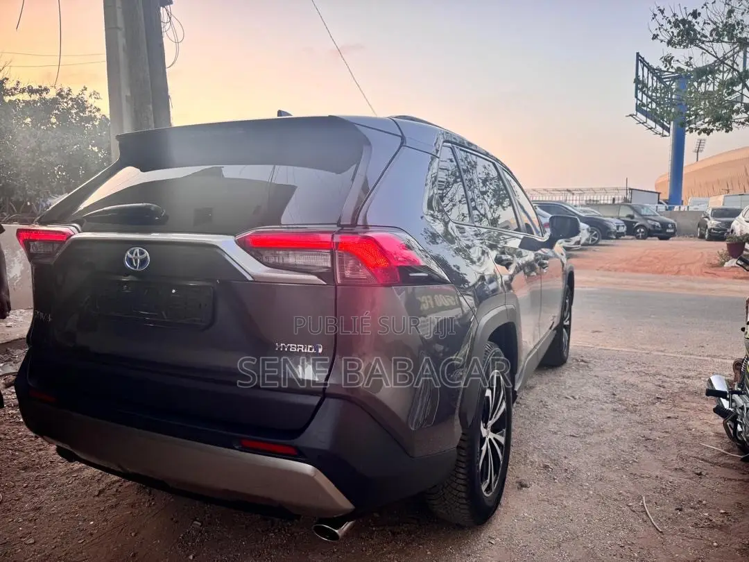 Toyota RAV4 LE AWD 2023 Gris