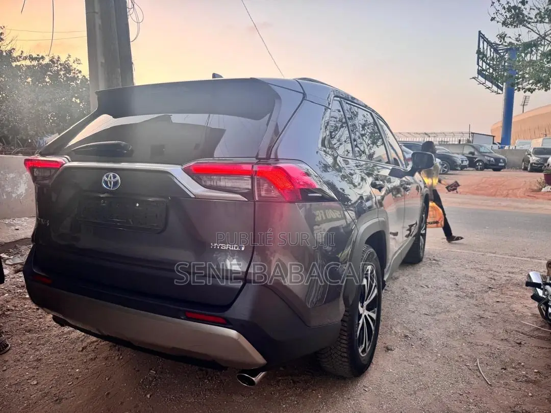 Toyota RAV4 LE AWD 2023 Gris