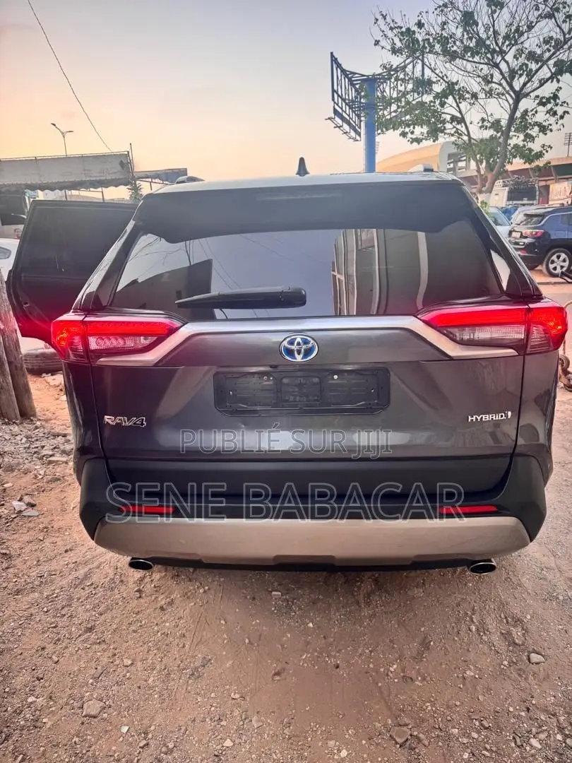 Toyota RAV4 LE AWD 2023 Gris