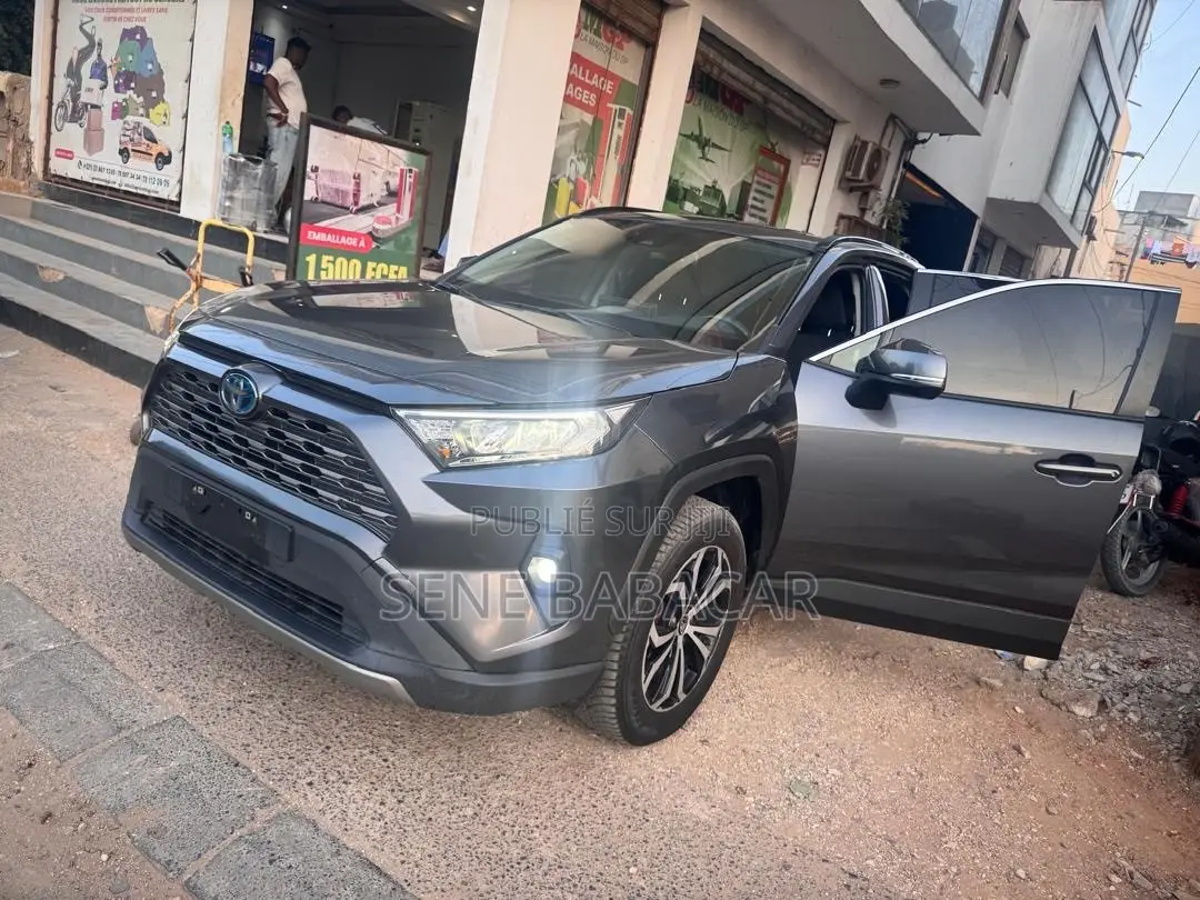 Toyota RAV4 LE AWD 2023 Gris