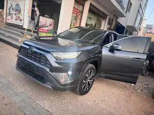 Toyota RAV4 LE AWD 2023 Gris