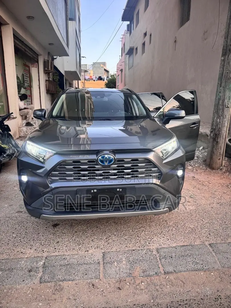 Toyota RAV4 LE AWD 2023 Gris
