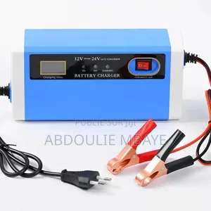 Chargeur Batterie 12V24V