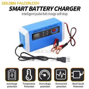 Chargeur Batterie 12V24V
