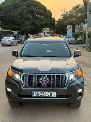 Toyota Land Cruiser Prado 2020 Gris
