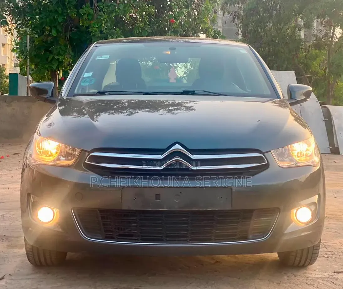 Citroen C-Elysee 2017 Gris