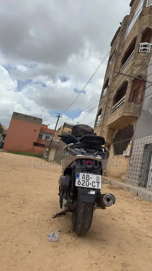 Yamaha Autre 2008 Gris