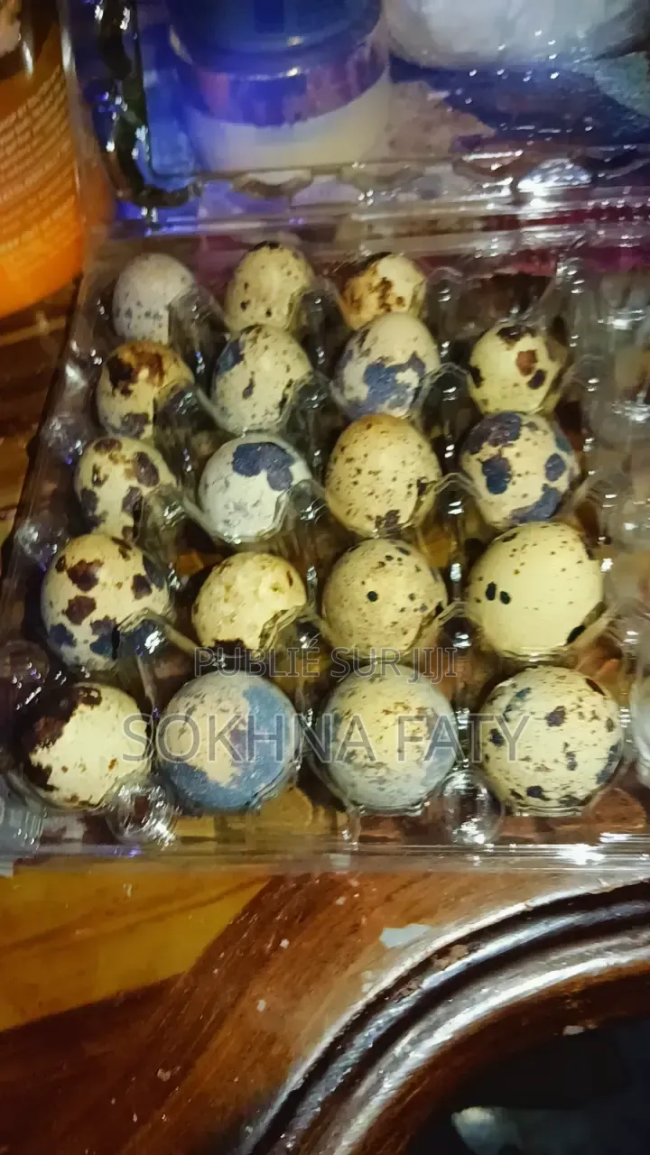 Oeuf De Caille