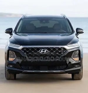 Hyundai Santa Fe 2019 Noir